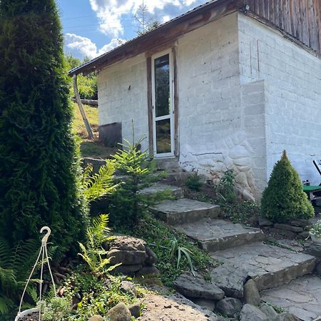 Villa Zelenyj Raj Pashkivtsi  Exterior foto