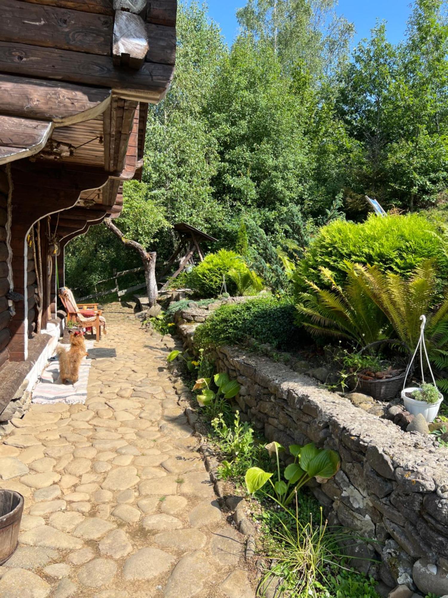 Villa Zelenyj Raj Pashkivtsi  Exterior foto